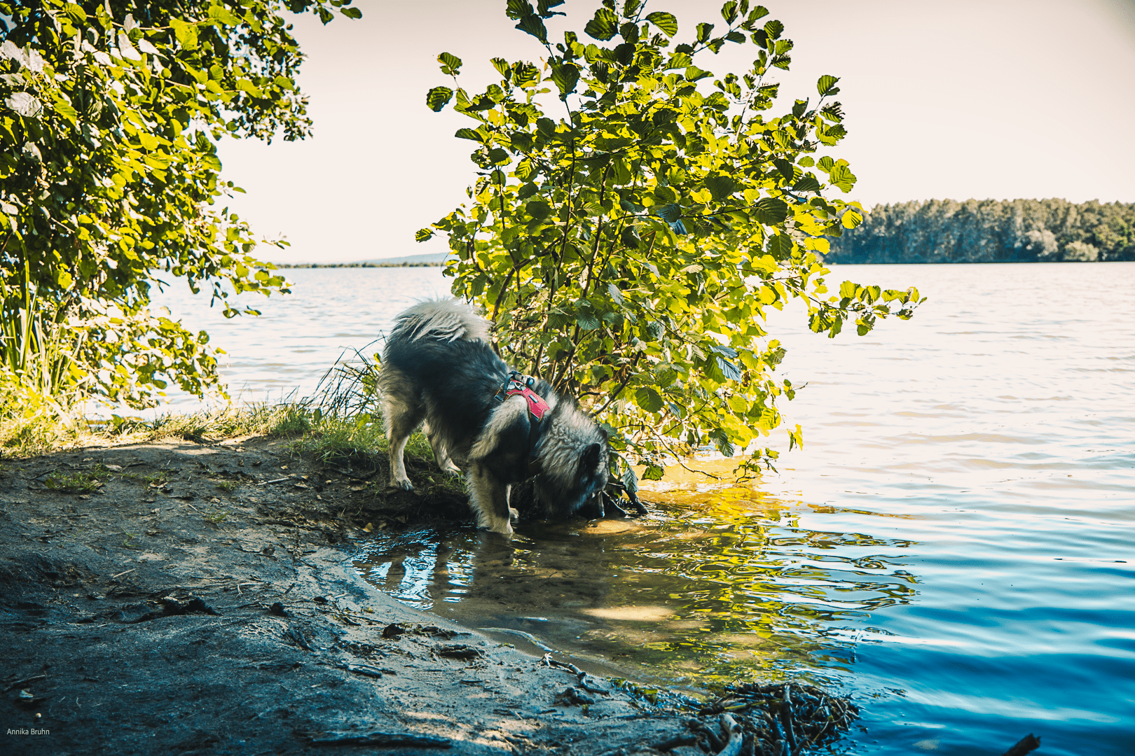Kleine Trinkpause für Q